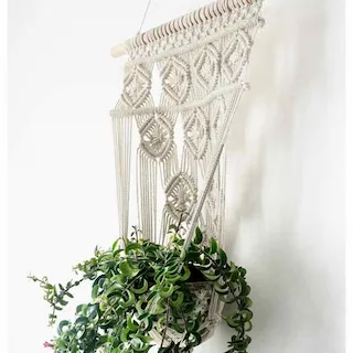 Aroa Morote González · Paterna, Valencia