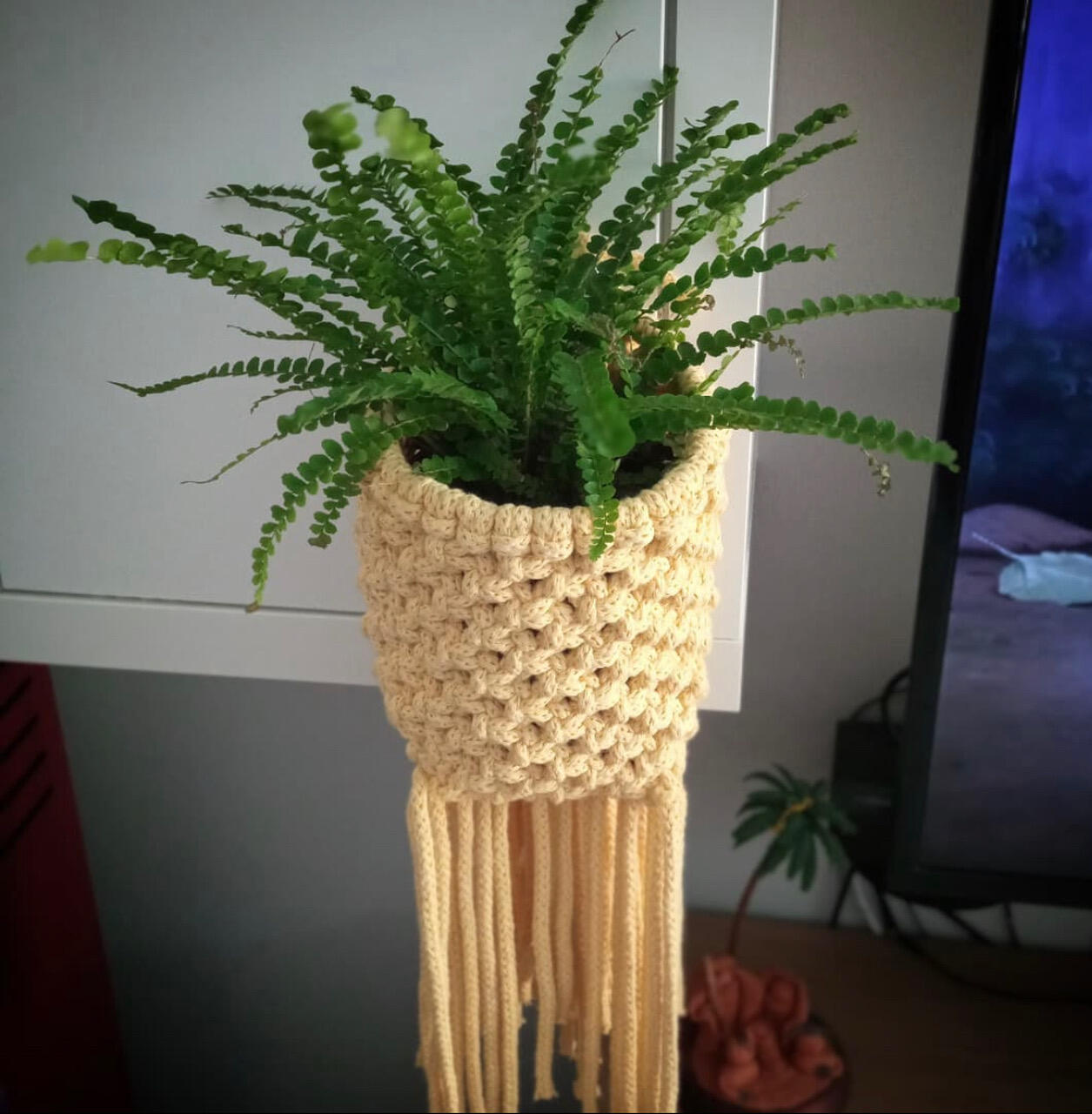 Imagen #1 de Elisabeth Hernandez Muñoz