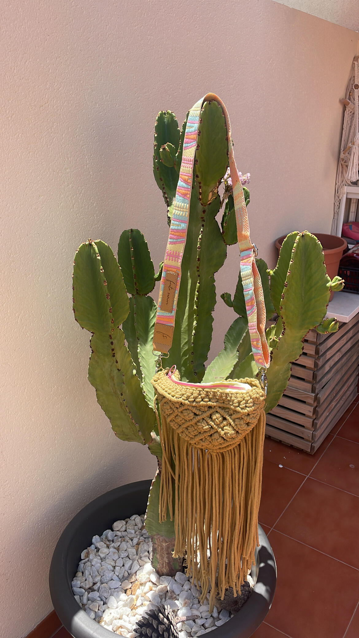 Imagen #1 de Julia Isabel Minet Sánchez