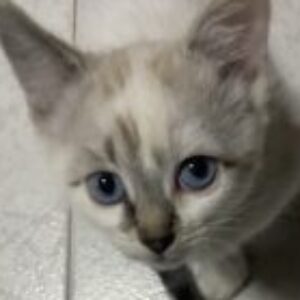 Profile photo of Cristina